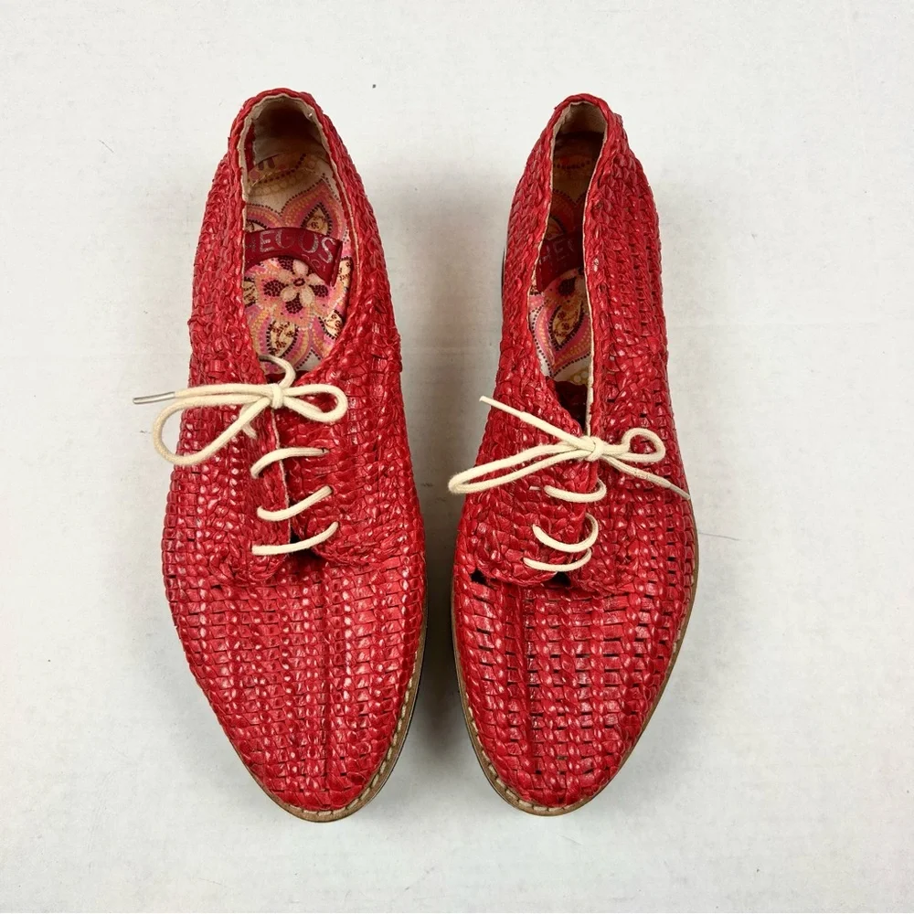 elevate your